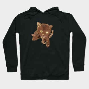 Jumping Cat Hoodie